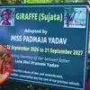 अपर्णा यादव ने जिराफ सुजाता को लिया गोद, पति प्रतीक यादव को किया याद, ऐसे मनाया बेटी पद्मजा का जन्मदिन