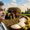 'सादा चीनी का भविष्य अच्छा नहीं', E20 पेट्रोल के बाद मिलों को नितिन गडकरी की सलाह, CBG और विमान ईंधन बनाने पर जोर