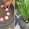 How To Grow Spring Onions In Tires,टायर में मिट्टी भरकर प्याज गाड़ने से ...