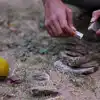 पिट्ठू देसी खेल,आओ, खेलें पिट्ठू - lets play pithoo - Future Stars News ...