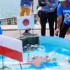 Rabiot Octopus,रैबिओट ऑक्टोपस की काबिलियत भी बचा नहीं सकी जिंदगी, बना ...