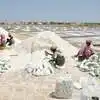 Gujrat Salt,अमेरिका और यूरोप में भारी बर्फबारी से बढ़ी भारत के नमक की ...