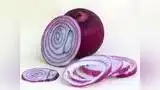 How To Eat Onion In Summer : सलाद में जरूर शामिल करें 2 प्याज, गर्मियों में मिलेगा सबसे ज्यादा फायदा How To Eat Onion In Summer : सलाद में जरूर शामिल करें 2 प्याज, गर्मियों में मिलेगा सबसे ज्यादा फायदा