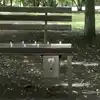 Funny Video Of Weird Bench Is Viral On Social Media