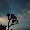 Ursids Meteor Shower,Ursids meteor shower: साल की आखिरी तारों की बारिश ...