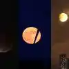 Super Flower Blood Moon & Lunar Eclipse 2021 Thrills Stargazers See ...