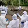 Bird Flu In Delhi NCR: AIIMS Chief And Other Experts Say Human-To-Human ...