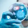 Germs Are Good For Immune System,बच्‍चों की सेहत के लिए अच्‍छे हैं ...