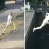 Internet Screaming Failed Attempt Jump Canal See Video