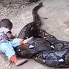 Viral Video Of A Kid Playing With Full-Grown Reticulated Python Will ...