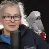 This Parrot Has Relationship With Amazon Alexa