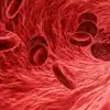Golden Blood: World’s Rarest Blood Group Only 43 People Has This ...