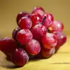 Shocking News Japan A Bunch Of Grapes Was Auctioned For 7 5 Lakhs