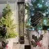 Shocking News 10 Feet Long Python Snake On A Christmas Tree Australia ...