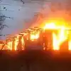 Pregnant dog saves lives of 4 patients from hospital fire, hailed as a hero