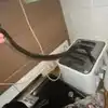 Woman Finds Snake In Kitchen Behind The Toaster