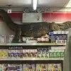 Giant Lizard Enterd In Grocery Store Horrifying Video Is Viral