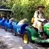 Dog Train Viral Video: Man Builds And Operates A Train That Takes ...