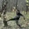 Man Kicks Tree Continuously Watch What Happened Next In Viral Video