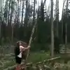 Man Was Shaking Tree With His Full Force Watch What Happened Next