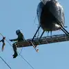 Bird Rescue By Chopper: Old Video Of A Man In A Helicopter Rescuing A ...