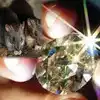 Rat swallowed diamond and then gave a big message