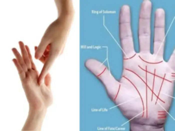 Know the Double Life Line Meaning in Palmistry