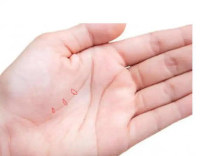 Know the Double Life Line Meaning in Palmistry