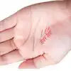 Life Line Palm Reading Guide, Palm Reading Basics