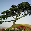 know the interesting and amazing story of kalpataru tree