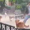 dog was chasing to rat and people helped to save the rat: कुत्तों के ...