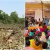 Hasdeo Ground Report: हसदेव के जंगलों में पेड़ों की कटाई का क्यों हो ...