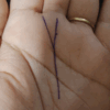 Y Sign In Your Palm भाग्‍यशाली लोगों के हाथ में होता है यह निशान, बनाता ...