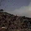 Delhi Landfill Site: 'कूड़े के पहाड़ सेहत के लिए खतरनाक और राष्ट्रीय ...