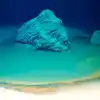 Poisonous Pools Under The Ocean: समुद्र की गहराई में मौजूद है एक जहरीला ...