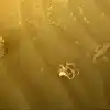 Spaghetti On Mars: NASA Mars Mission Strangle Object Found On Red ...