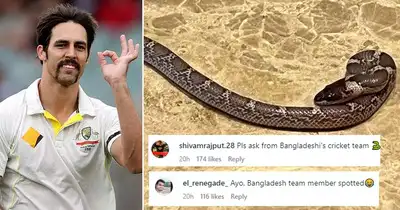 Yalangoch qoramagizlarning fotosuratlari