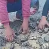 Photo inspiration: People Uprooted The Road Built Two Days Ago In Lakhimpuri Photo Inspiration