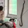सांप लेकर अस्पताल में डॉक्टर के पास पहुंच गया युवक आगे जानिए क्या हुआ ...