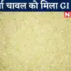 marcha rice gets gi tag bihar another achievement : बिहार के प्रसिद्ध ...