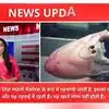 Mysterious Sea Creature: मछुआरे के जाल में फंसा 'पाताल का राक्षस ...
