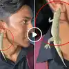 छिपकली के काटने से क्या होता है? लड़के ने गजब तरीके से लोगों को समझा ...