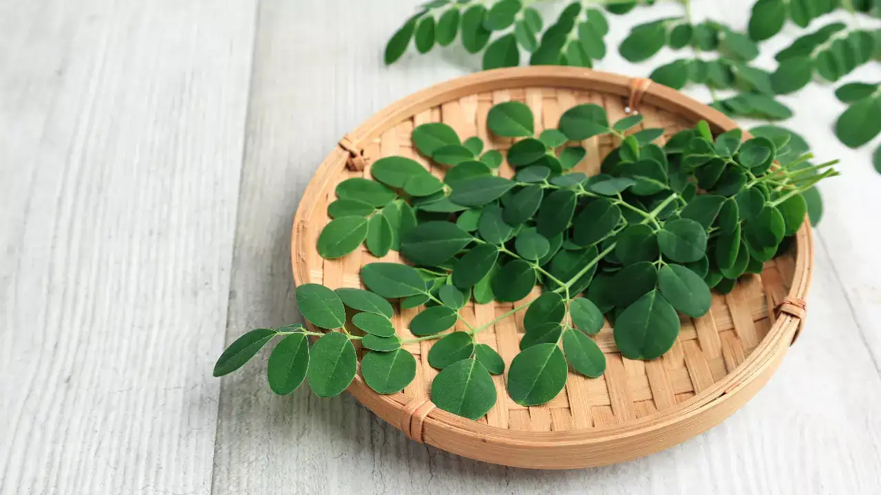 Drumstick Leaves benefits