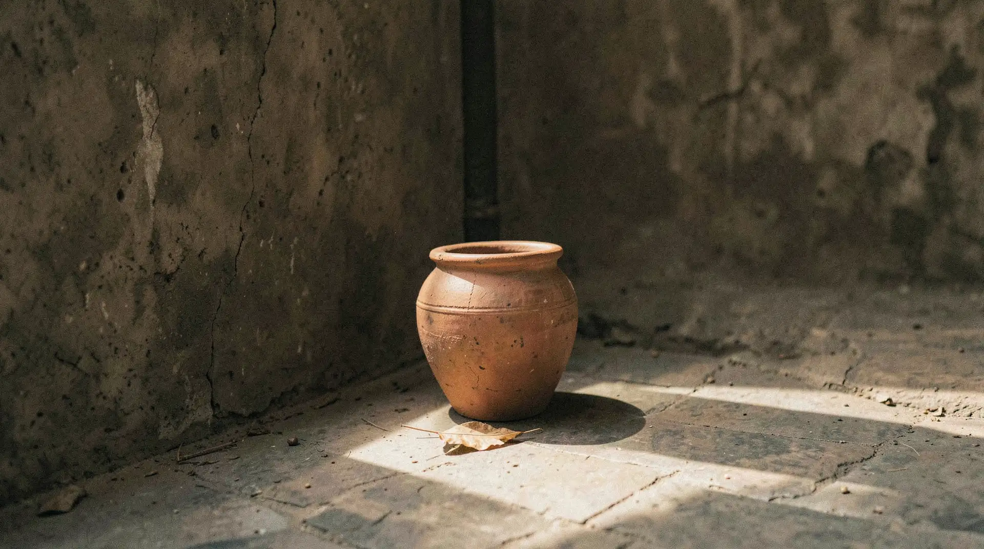 Shaded Matka in Courtyard