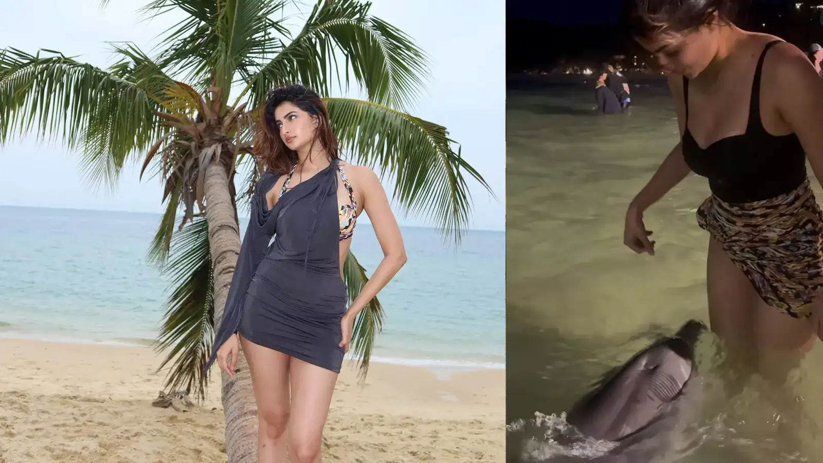 श्वेता तिवारी की बेटी पलक ने ऑस्ट्रेलिया में Beach पर दिए स्टनिंग पोज, डॉलफिन ने किया कुछ ऐसा कि देखती रह गईं वो