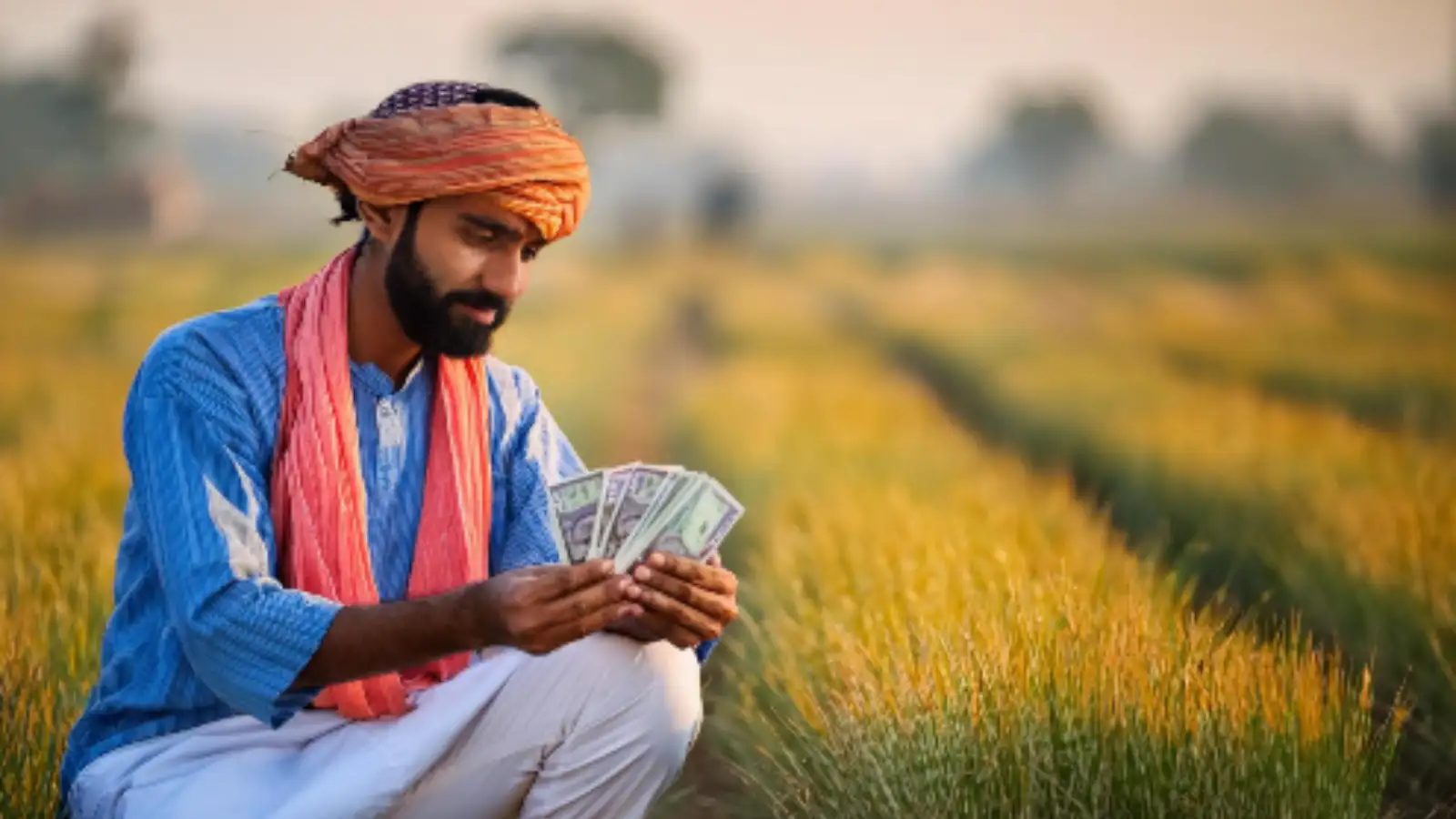 PM Kisan 22nd Installment Date: ₹2,000 Expected in February 2026 – Latest Update for Farmers