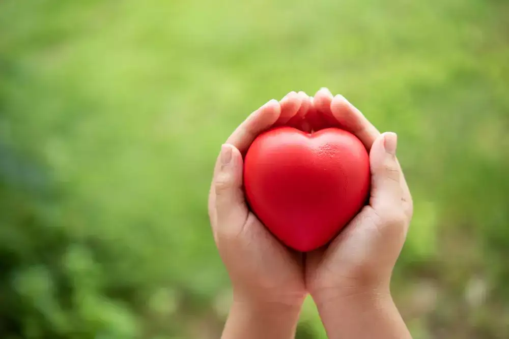The Healing Power Of Kindness: How Compassion Improves Heart Health