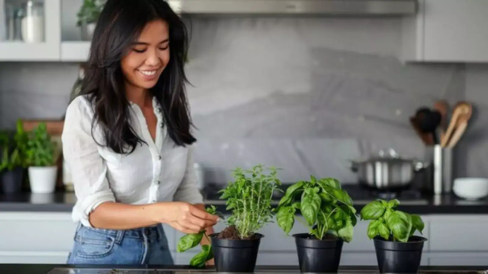 How to Grow Fresh Herbs in Your Kitchen All Year Round