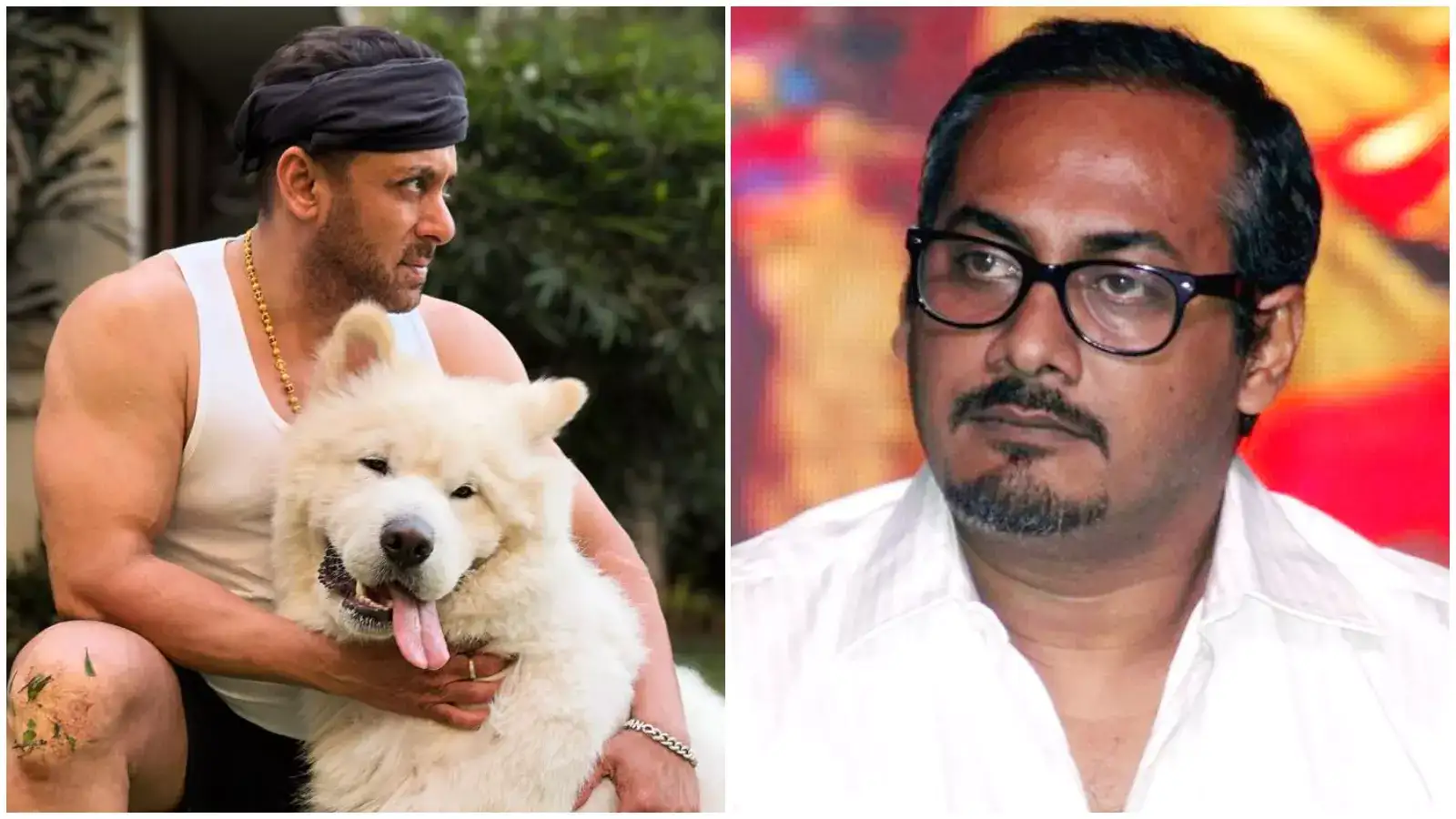 अभ‍िनव कश्‍यप की बदजुबानी पर कोर्ट ने लगाया ताला, सलमान खान को मानहानि केस में बड़ी राहत