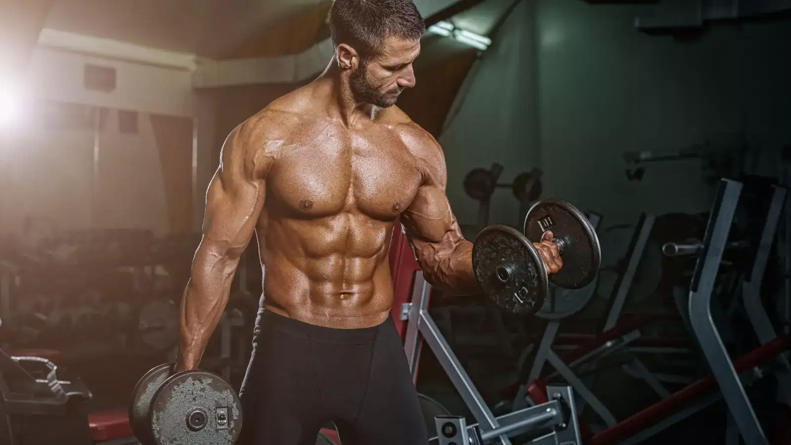 From Flat To Incline: 10 Best Gym Benches For Every Workout Need
